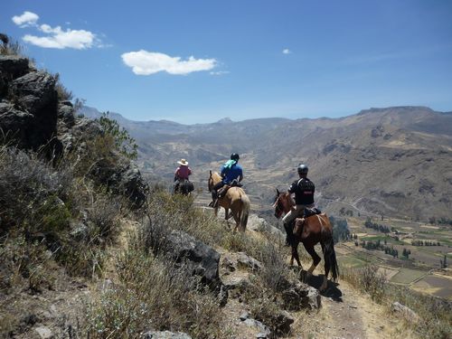 randonnée équestre dans le Colca