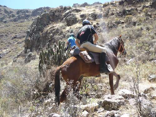 Balade à cheval pour Coporaque au Colca