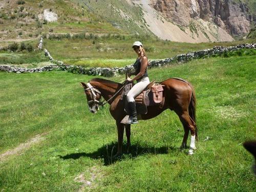 Cheval de Paso en chemin pour les ruines incas dans le Canyon du Colca