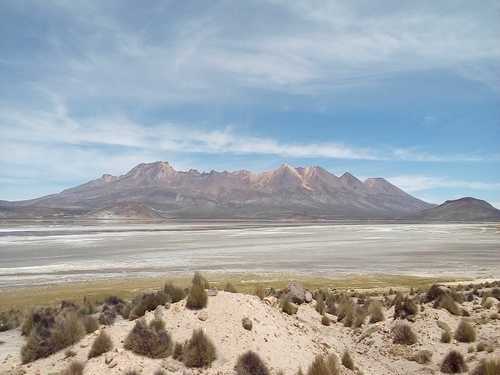 Le Lac Salinas dans la Région Arequipa