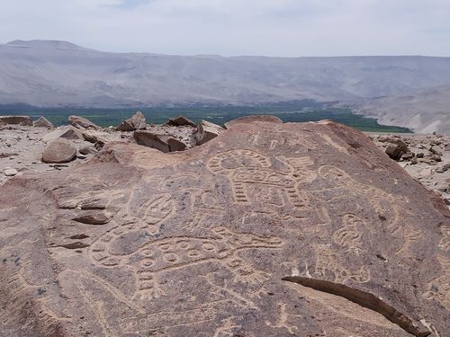 Les pétroglyphes de Toro Muerto à Majes dans la région d'Arequipa