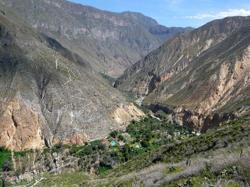 L'oasis de Sangalle dans le Canyon du Colca