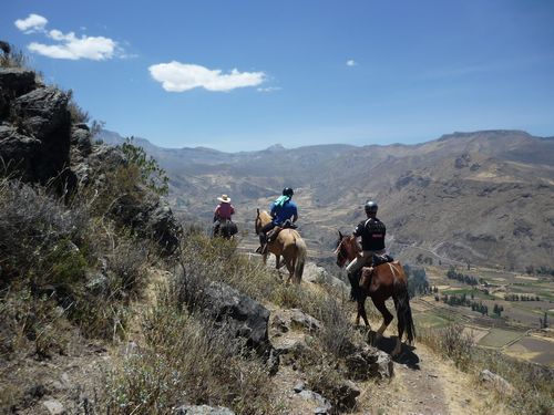 Colca canyon horse riding
