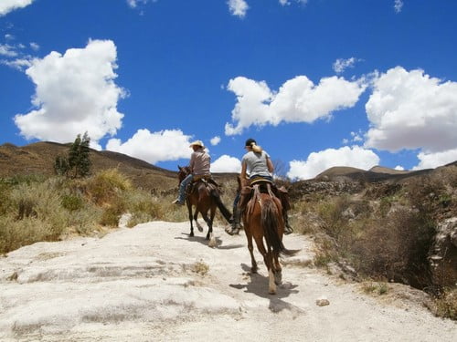 Cheval de Paso en chemin pour les ruines incas dans le Canyon du Colca