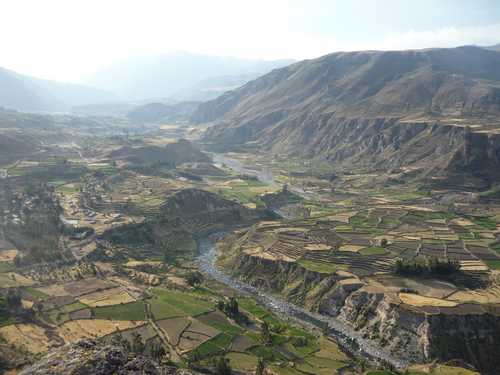 Les Terrasses Andines du Canyon du Colca