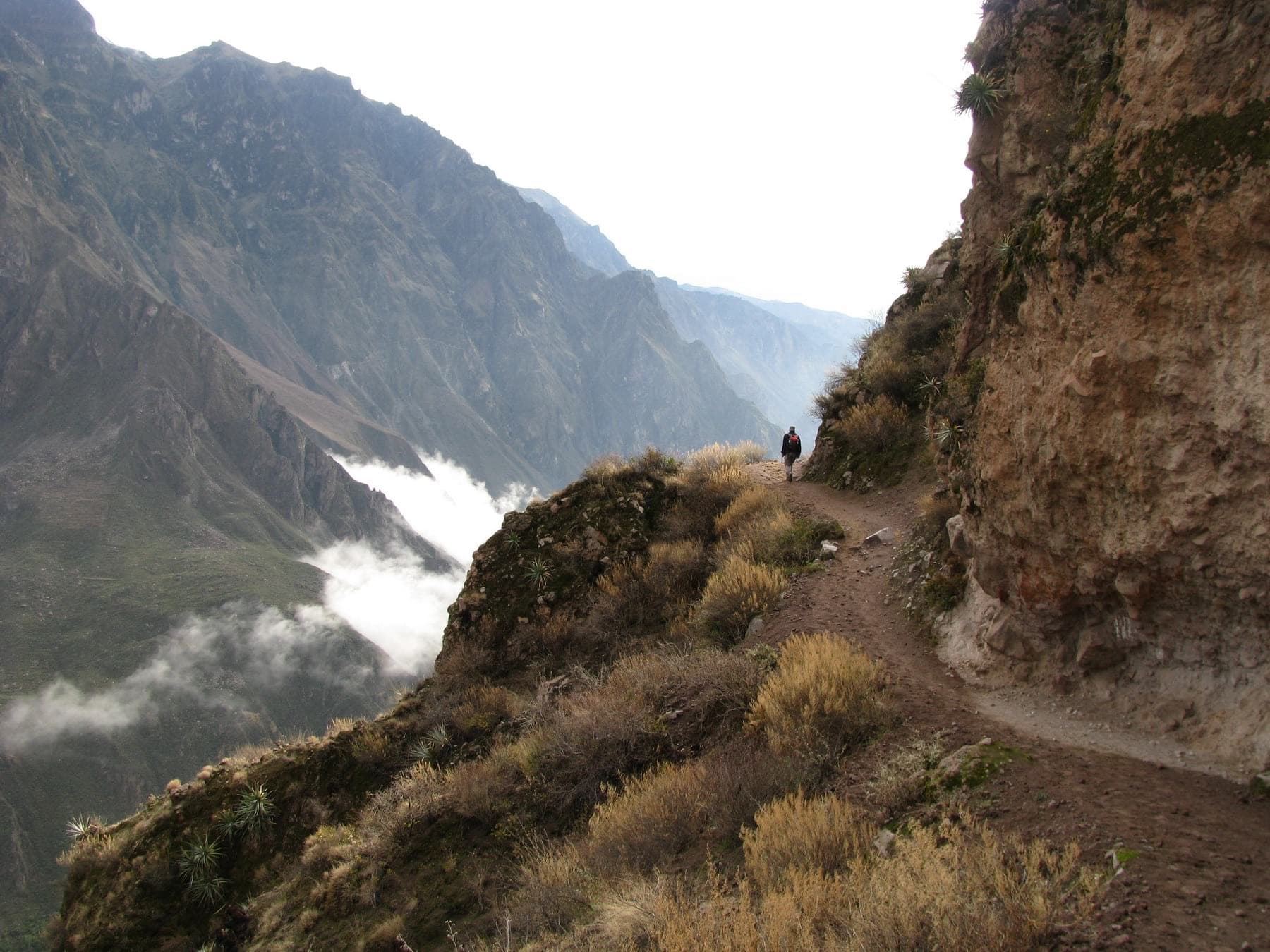 Private Trek in the Colca Canyon in english