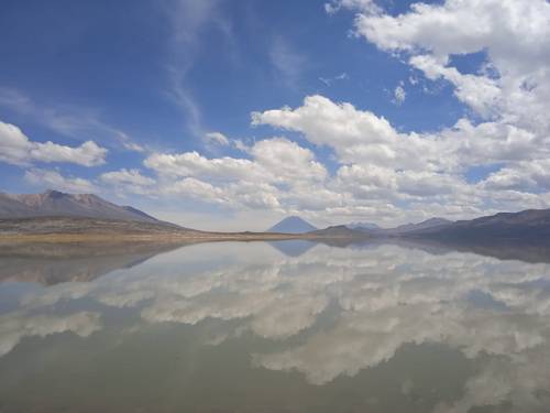 Le Lac Salinas dans la Région Arequipa