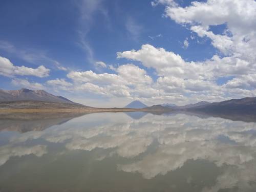 Lake Salinas visit from Arequipa