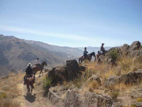 Paso horses in Colca Canyon for Horseback ride