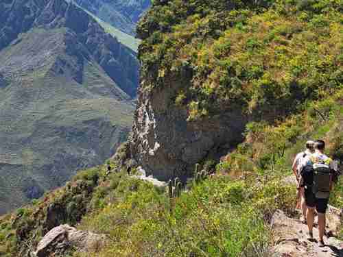 trek in Colca Canyon with private english guide