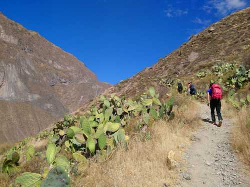 La Vallée du Colca près d'Arequipa