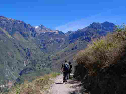 randonnée au canyon de colca