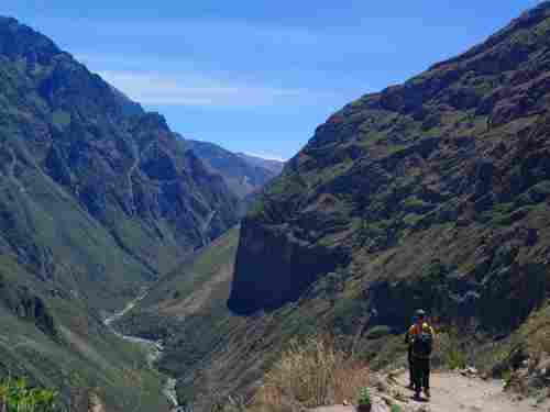marche guidée canyon de colca