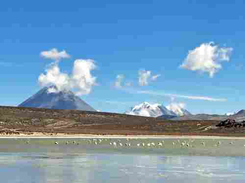 salinas lagune arequipa visite privée avec un guide francais