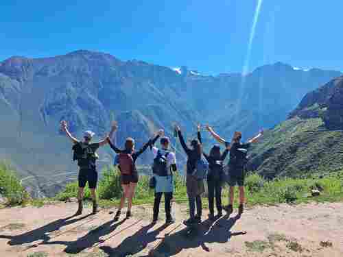 condor au canyon de colca
